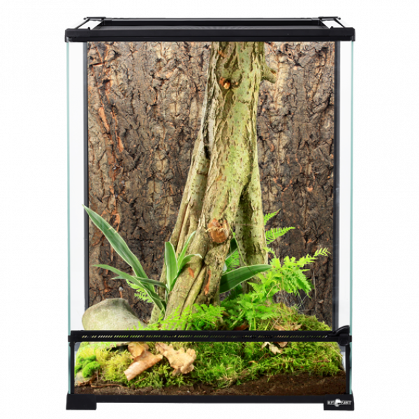 Preview: Glas Terrarium ReptiPlanet